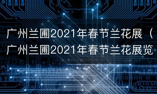 广州兰圃2021年春节兰花展（广州兰圃2021年春节兰花展览）