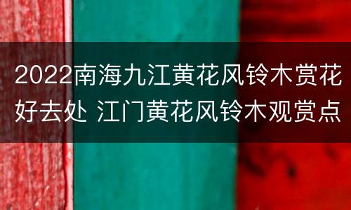 2022南海九江黄花风铃木赏花好去处 江门黄花风铃木观赏点