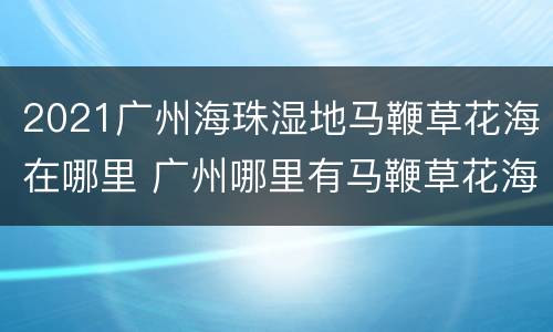 2021广州海珠湿地马鞭草花海在哪里 广州哪里有马鞭草花海