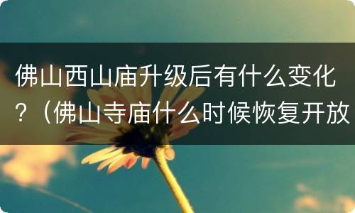 佛山西山庙升级后有什么变化?（佛山寺庙什么时候恢复开放）