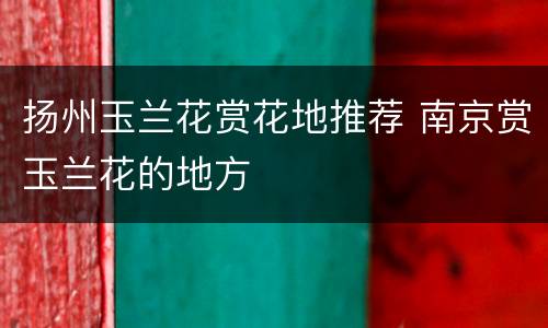 扬州玉兰花赏花地推荐 南京赏玉兰花的地方