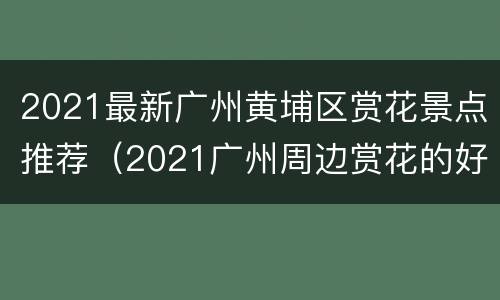 2021最新广州黄埔区赏花景点推荐（2021广州周边赏花的好地方）