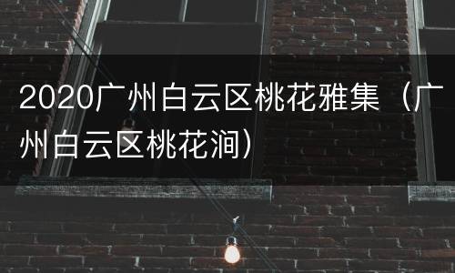 2020广州白云区桃花雅集（广州白云区桃花涧）