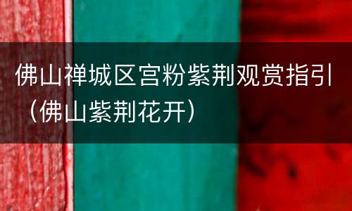 佛山禅城区宫粉紫荆观赏指引（佛山紫荆花开）