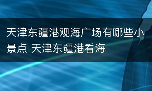 天津东疆港观海广场有哪些小景点 天津东疆港看海