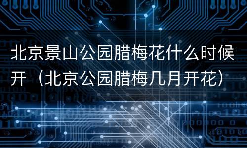 北京景山公园腊梅花什么时候开（北京公园腊梅几月开花）