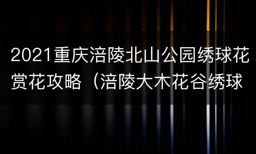 2021重庆涪陵北山公园绣球花赏花攻略（涪陵大木花谷绣球花）