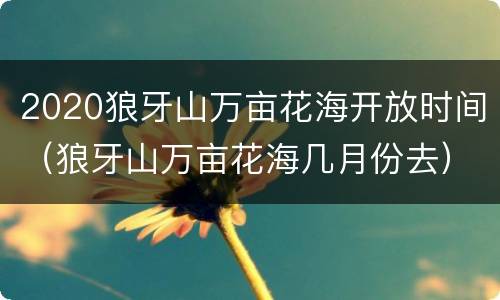2020狼牙山万亩花海开放时间（狼牙山万亩花海几月份去）