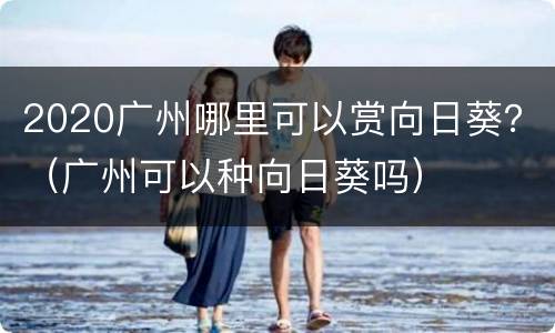2020广州哪里可以赏向日葵？（广州可以种向日葵吗）