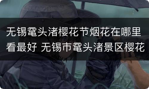 无锡鼋头渚樱花节烟花在哪里看最好 无锡市鼋头渚景区樱花节