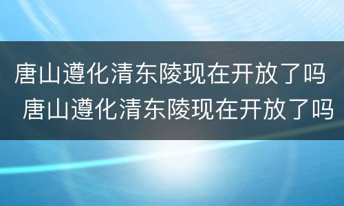 唐山遵化清东陵现在开放了吗 唐山遵化清东陵现在开放了吗