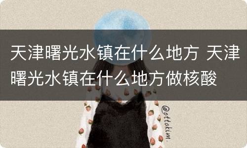 天津曙光水镇在什么地方 天津曙光水镇在什么地方做核酸