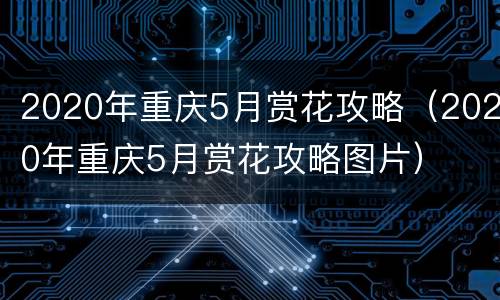 2020年重庆5月赏花攻略（2020年重庆5月赏花攻略图片）