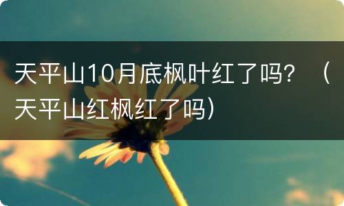 天平山10月底枫叶红了吗？（天平山红枫红了吗）