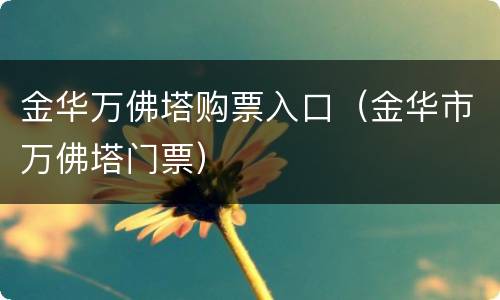 金华万佛塔购票入口（金华市万佛塔门票）