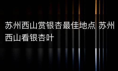 苏州西山赏银杏最佳地点 苏州西山看银杏叶