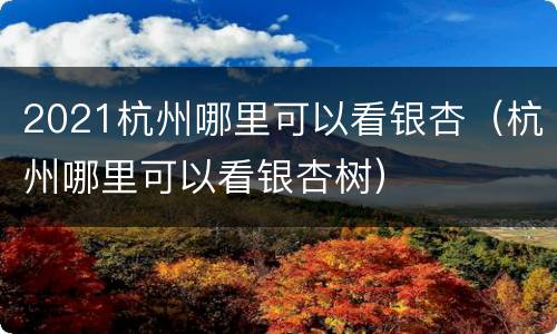 2021杭州哪里可以看银杏（杭州哪里可以看银杏树）