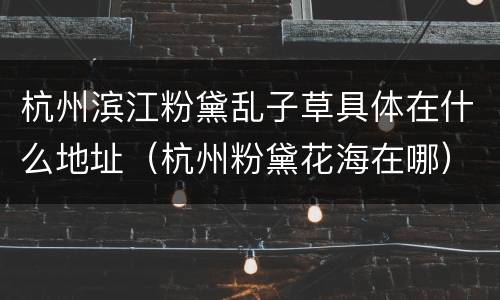 杭州滨江粉黛乱子草具体在什么地址（杭州粉黛花海在哪）