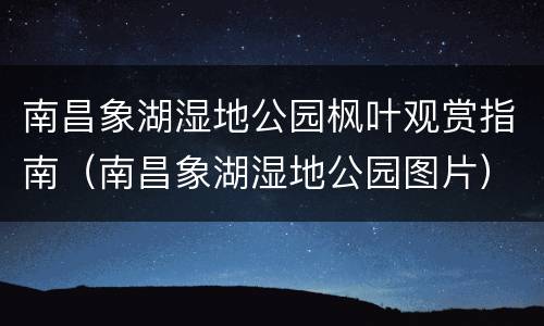 南昌象湖湿地公园枫叶观赏指南（南昌象湖湿地公园图片）