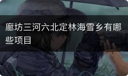 廊坊三河六北定林海雪乡有哪些项目