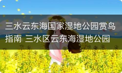 三水云东海国家湿地公园赏鸟指南 三水区云东海湿地公园