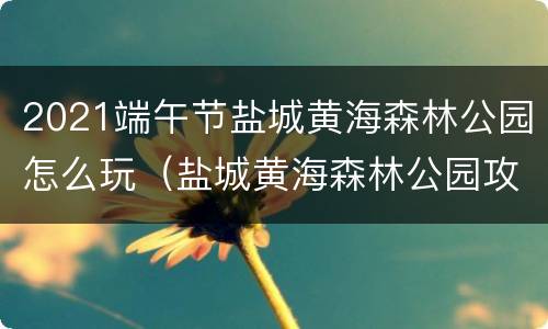 2021端午节盐城黄海森林公园怎么玩（盐城黄海森林公园攻略）