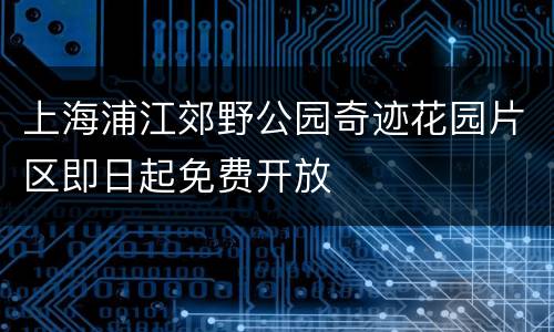 上海浦江郊野公园奇迹花园片区即日起免费开放