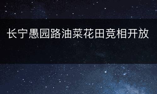 长宁愚园路油菜花田竞相开放