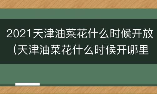 2021天津油菜花什么时候开放（天津油菜花什么时候开哪里有）
