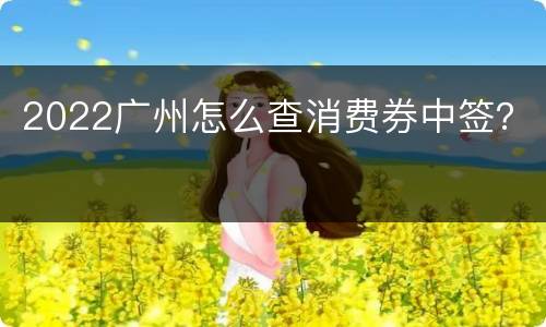 2022广州怎么查消费券中签？
