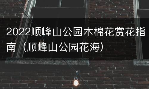 2022顺峰山公园木棉花赏花指南（顺峰山公园花海）