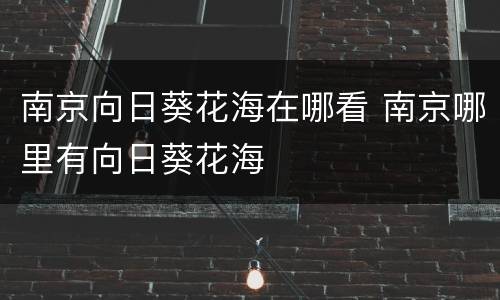 南京向日葵花海在哪看 南京哪里有向日葵花海