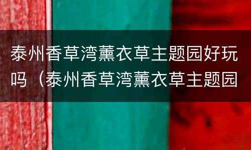 泰州香草湾薰衣草主题园好玩吗（泰州香草湾薰衣草主题园好玩吗值得去吗）
