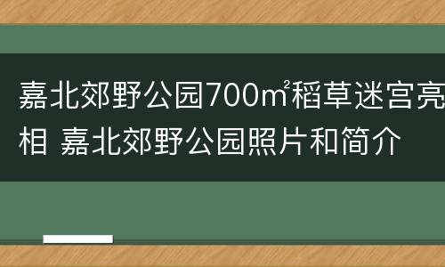 嘉北郊野公园700㎡稻草迷宫亮相 嘉北郊野公园照片和简介