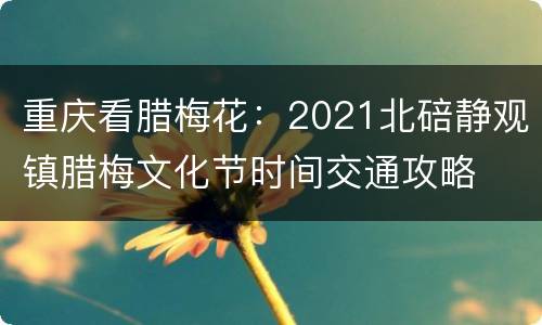 重庆看腊梅花：2021北碚静观镇腊梅文化节时间交通攻略