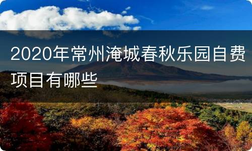 2020年常州淹城春秋乐园自费项目有哪些
