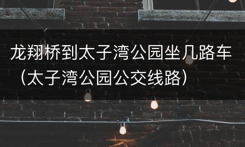 龙翔桥到太子湾公园坐几路车（太子湾公园公交线路）