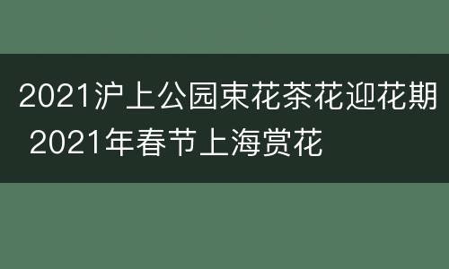 2021沪上公园束花茶花迎花期 2021年春节上海赏花