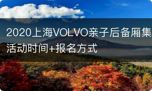 2020上海VOLVO亲子后备厢集市活动时间+报名方式