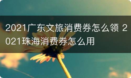 2021广东文旅消费券怎么领 2021珠海消费券怎么用