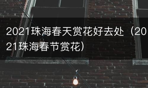 2021珠海春天赏花好去处（2021珠海春节赏花）