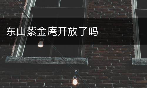 东山紫金庵开放了吗
