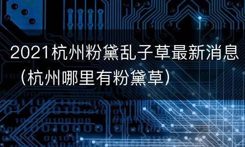 2021杭州粉黛乱子草最新消息（杭州哪里有粉黛草）