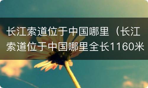 长江索道位于中国哪里（长江索道位于中国哪里全长1160米）