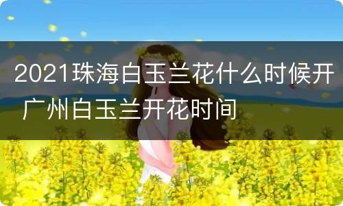 2021珠海白玉兰花什么时候开 广州白玉兰开花时间