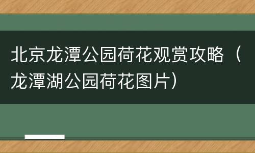北京龙潭公园荷花观赏攻略（龙潭湖公园荷花图片）