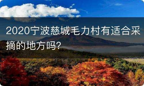 2020宁波慈城毛力村有适合采摘的地方吗？