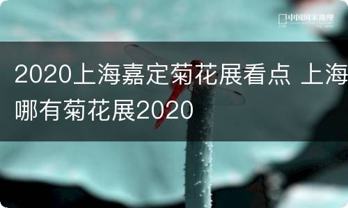 2020上海嘉定菊花展看点 上海哪有菊花展2020