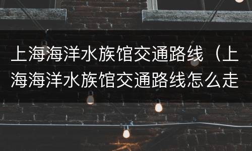 上海海洋水族馆交通路线（上海海洋水族馆交通路线怎么走）