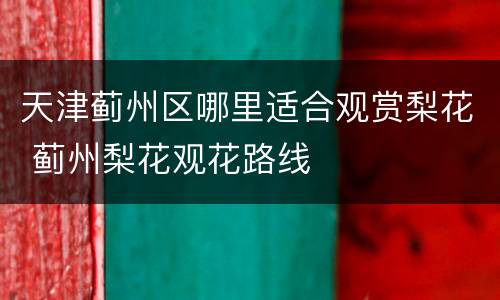 天津蓟州区哪里适合观赏梨花 蓟州梨花观花路线